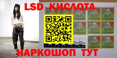 стаф Будённовск