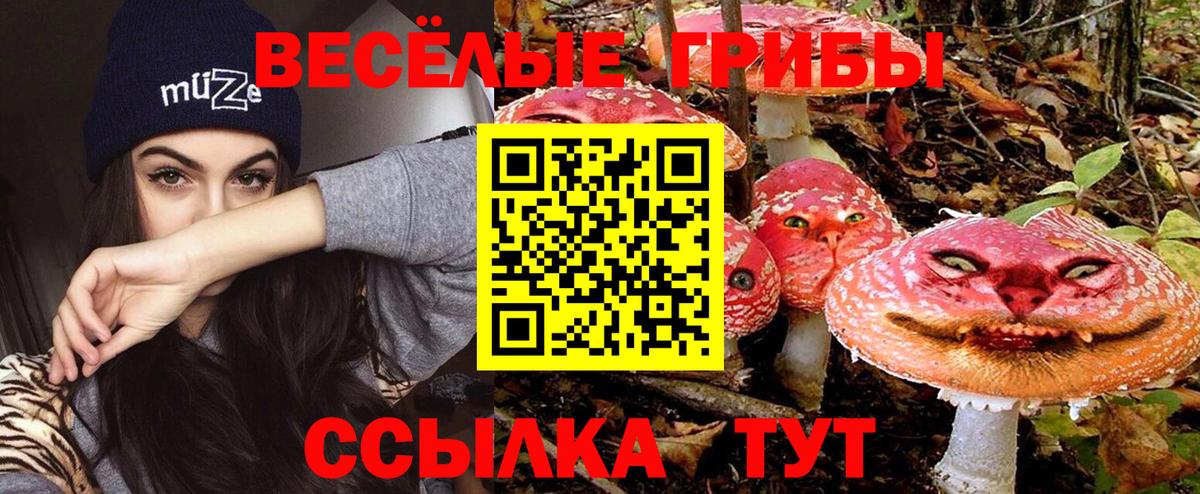 Псилоцибиновые грибы Cubensis  Вход с VPN  Галлюциногенные грибы мицелий  Азов 